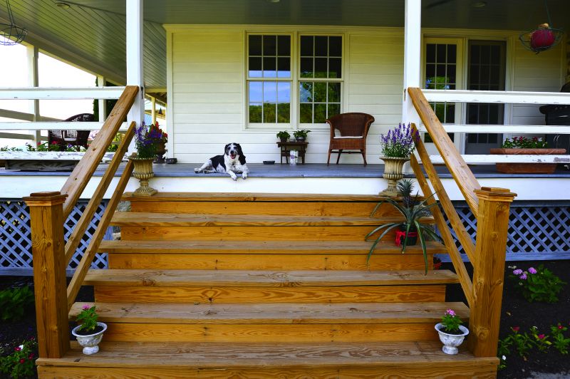 Exterior Step Repair